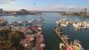 ./images/victoria/wharf/20190831/wharf20190831_141955.jpg