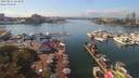 ./images/victoria/wharf/20190831/wharf20190831_143958.jpg