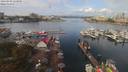 ./images/victoria/wharf/20190901/wharf20190901_115958.jpg