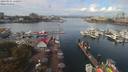./images/victoria/wharf/20190901/wharf20190901_120954.jpg