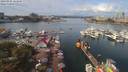 ./images/victoria/wharf/20190901/wharf20190901_121950.jpg