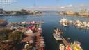 ./images/victoria/wharf/20190902/wharf20190902_114454.jpg