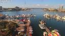 ./images/victoria/wharf/20190902/wharf20190902_123958.jpg