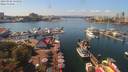 ./images/victoria/wharf/20190902/wharf20190902_134952.jpg
