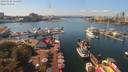 ./images/victoria/wharf/20190902/wharf20190902_135455.jpg