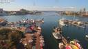 ./images/victoria/wharf/20190902/wharf20190902_135959.jpg