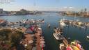 ./images/victoria/wharf/20190902/wharf20190902_140451.jpg