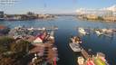 ./images/victoria/wharf/20190903/wharf20190903_110954.jpg