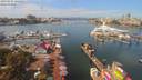 ./images/victoria/wharf/20190905/wharf20190905_122452.jpg
