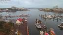 ./images/victoria/wharf/20190909/wharf20190909_064453.jpg