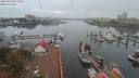 ./images/victoria/wharf/20190910/wharf20190910_074955.jpg