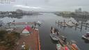 ./images/victoria/wharf/20190910/wharf20190910_075458.jpg