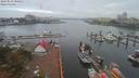 ./images/victoria/wharf/20190910/wharf20190910_080454.jpg