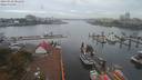 ./images/victoria/wharf/20190910/wharf20190910_081450.jpg
