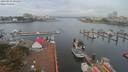 ./images/victoria/wharf/20190910/wharf20190910_094956.jpg