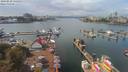 ./images/victoria/wharf/20190910/wharf20190910_134952.jpg