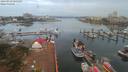 ./images/victoria/wharf/20190912/wharf20190912_065355.jpg