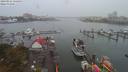 ./images/victoria/wharf/20190912/wharf20190912_134453.jpg