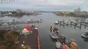 ./images/victoria/wharf/20190913/wharf20190913_064952.jpg