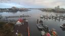 ./images/victoria/wharf/20190913/wharf20190913_070954.jpg