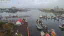 ./images/victoria/wharf/20190913/wharf20190913_084955.jpg