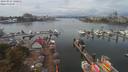./images/victoria/wharf/20190913/wharf20190913_140952.jpg