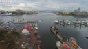 ./images/victoria/wharf/20190913/wharf20190913_154951.jpg
