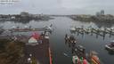./images/victoria/wharf/20190914/wharf20190914_092450.jpg