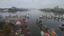 ./images/victoria/wharf/20190914/wharf20190914_104954.jpg