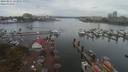 ./images/victoria/wharf/20190914/wharf20190914_131955.jpg
