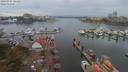 ./images/victoria/wharf/20190914/wharf20190914_144457.jpg