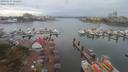 ./images/victoria/wharf/20190914/wharf20190914_151457.jpg
