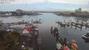./images/victoria/wharf/20190915/wharf20190915_104953.jpg