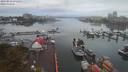 ./images/victoria/wharf/20190916/wharf20190916_071454.jpg