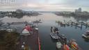 ./images/victoria/wharf/20190916/wharf20190916_072450.jpg