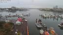 ./images/victoria/wharf/20190916/wharf20190916_082950.jpg