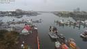 ./images/victoria/wharf/20190916/wharf20190916_084450.jpg