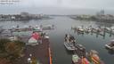 ./images/victoria/wharf/20190916/wharf20190916_091458.jpg