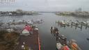 ./images/victoria/wharf/20190916/wharf20190916_094949.jpg