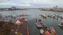 ./images/victoria/wharf/20190917/wharf20190917_070953.jpg