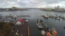 ./images/victoria/wharf/20190917/wharf20190917_095457.jpg