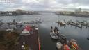 ./images/victoria/wharf/20190917/wharf20190917_095951.jpg