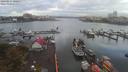 ./images/victoria/wharf/20190917/wharf20190917_100957.jpg