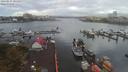 ./images/victoria/wharf/20190917/wharf20190917_101451.jpg
