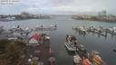 ./images/victoria/wharf/20190917/wharf20190917_105455.jpg