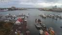 ./images/victoria/wharf/20190917/wharf20190917_111458.jpg