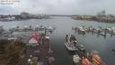 ./images/victoria/wharf/20190917/wharf20190917_131458.jpg