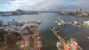 ./images/victoria/wharf/20190921/wharf20190921_144952.jpg