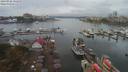 ./images/victoria/wharf/20190922/wharf20190922_131952.jpg
