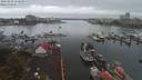./images/victoria/wharf/20190923/wharf20190923_174950.jpg